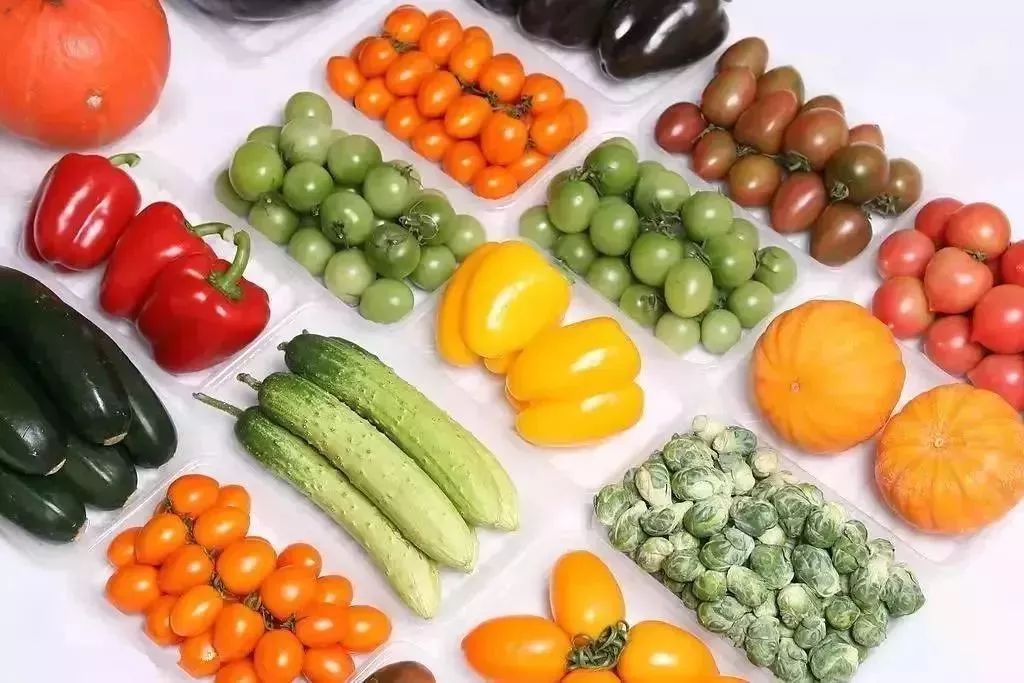 農(nóng)藥殘留-GY-NC10農(nóng)藥殘留檢測儀